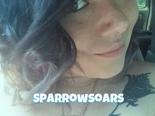 SparrowSoars