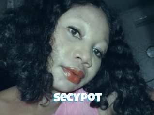 Secypot