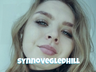 Synnovegledhill