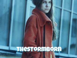 TheStormborn