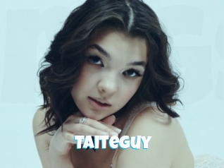 Taiteguy