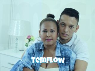 Temflow