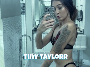 Tiny_taylorr