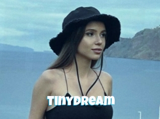 Tinydream