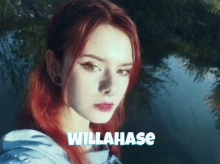 Willahase