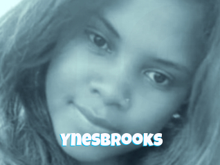 Ynesbrooks